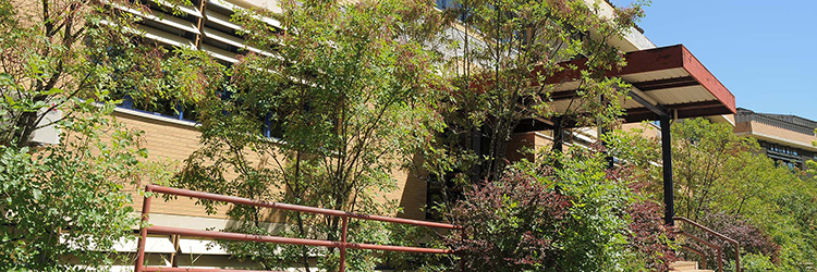 Escola de Ciências e Tecnologia background