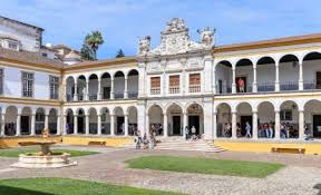 Instituto de Investigação e Formação Avançada background